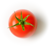 Tomate